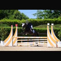 Pony francese salto ostacoli
