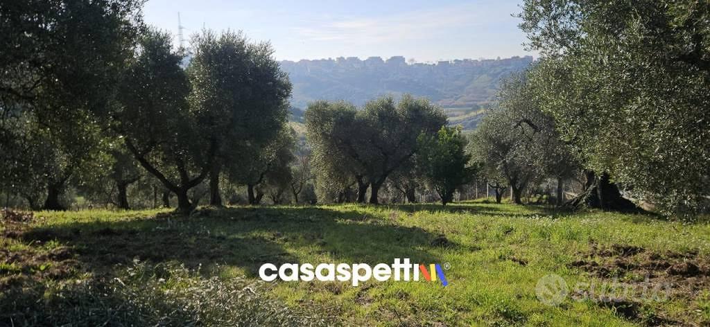 Terreno di 4500 m² a Monterotondo - Vista 5