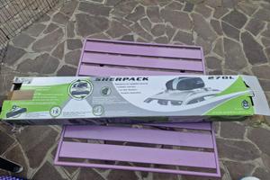 portapacchi da tetto