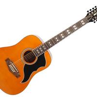 Chitarra acustica Eko Ranger XII Vr natural