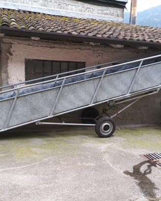 Rampa di carico suini