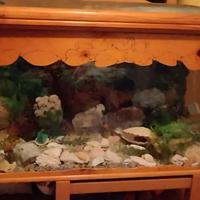 Acquario artigianale 76cm x 48cm x 40cm x 150lt