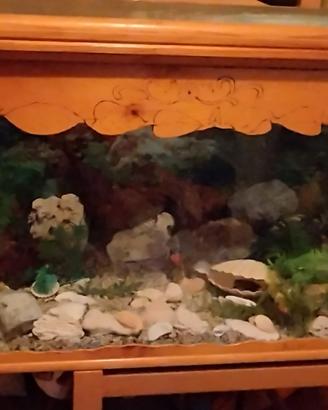 Acquario artigianale 76cm x 48cm x 40cm x 150lt