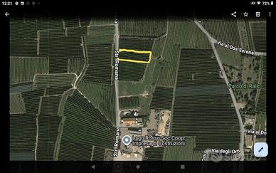 Frutteto Meleto terreno RALLO Ville D'Anaunia