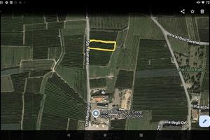 Frutteto Meleto terreno RALLO Ville D'Anaunia