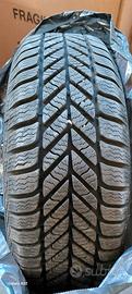 gomme invernali