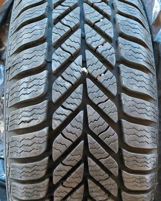 gomme invernali