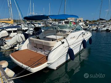 Sea Ray sundancer 240
