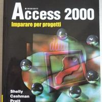 Microsoft Access 2000 - Imparare per progetti