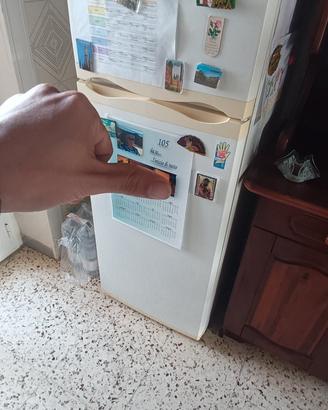 Frigo Congelatore WEGA WHITE