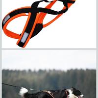 Guinzaglio da traino