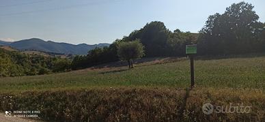 Terreno agricolo