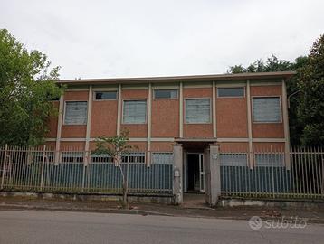 Immobile uso industriale/commeciale