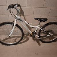 Bici bambino cerchio 24