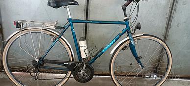 bicicletta Giant uomo