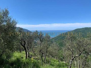 Rustico / Casale di 2225 m² con 2 locali a Avegno