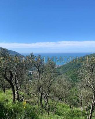 Rustico / Casale di 2225 m² con 2 locali a Avegno