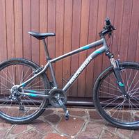mountain bike rockrider st 100