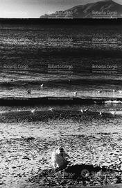 Fotografia Liguria Sestri Levante Infrarosso 33X48