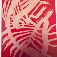 Franca Pisani Cultura Urbana