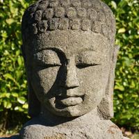 Testa del Buddha in Pietra Lavica altezza 45cm