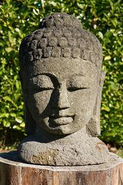 Testa del Buddha in Pietra Lavica altezza 45cm