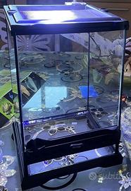 Terrario Exoterra 20x20x30