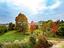 Immagine 19