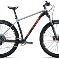 MTB BOTTECCHIA GAVIA 29" tg.L