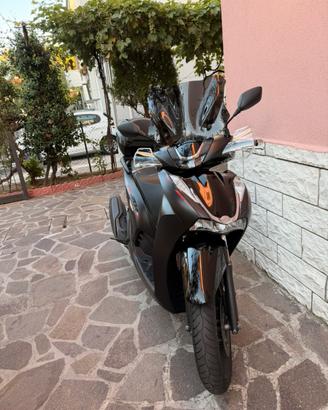Honda sh 350 sport