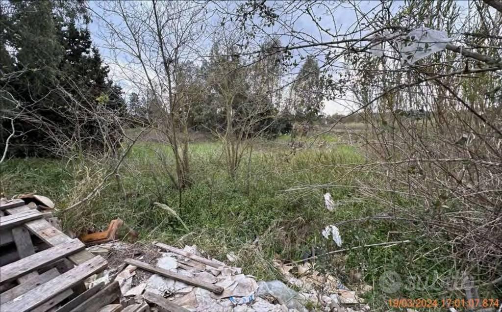 Immobile in asta di 79900 m² a Feroleto Antico - Altro