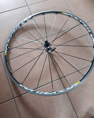 Cerchio anteriore bdc Mavic