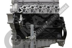 Motore semicompleto revisionato Cod. 602980