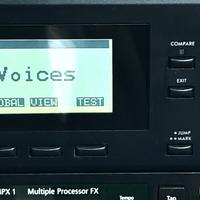 Korg Wavestation A/D