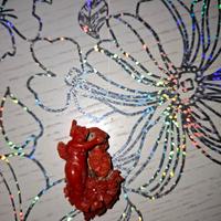 Microscultura su corallo rosso del Mediterraneo 