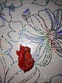 Microscultura su corallo rosso del Mediterraneo 