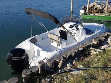 SAVER 560 WALKAROUND MERCURY 115