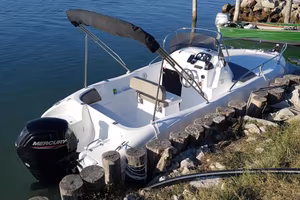 SAVER 560 WALKAROUND MERCURY 115