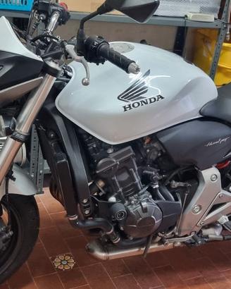 Honda Hornet