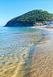 Parco del Cilento - zona Lago di Castellabate