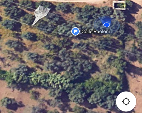 Terreno con ulivi ciliegi e un rudere