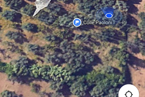 Terreno con ulivi ciliegi e un rudere