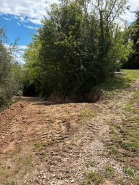 Terreno agricolo con acqua e luce