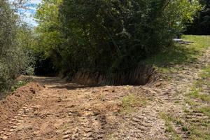 Terreno agricolo con acqua e luce