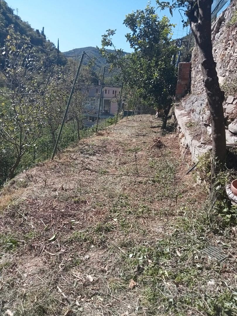 terreni su fasce - Vista 3
