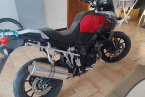 V-strom 1000 dl