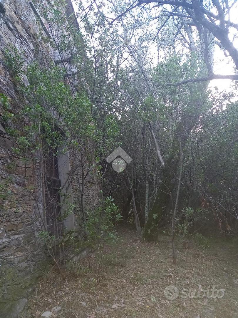 RUSTICO A CARASCO - Vista 2