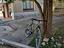 Immagine 3