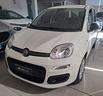 fiat-panda-1-0-firefly-hybrid-easy-2021-km-30261