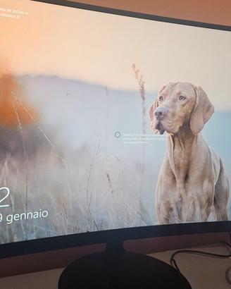MONITOR CURVO GAMING 24"
